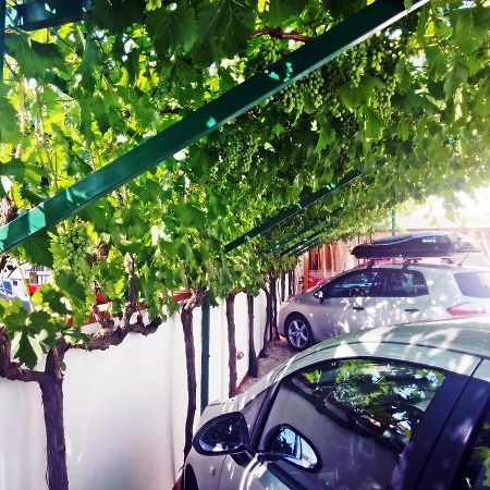 Apartments Eugen Pedisic توراني المظهر الخارجي الصورة